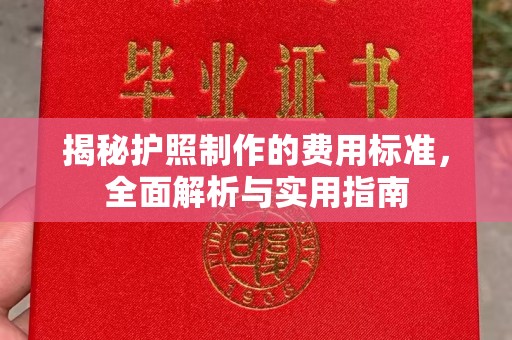 库车揭秘护照制作的费用标准，全面解析与实用指南
